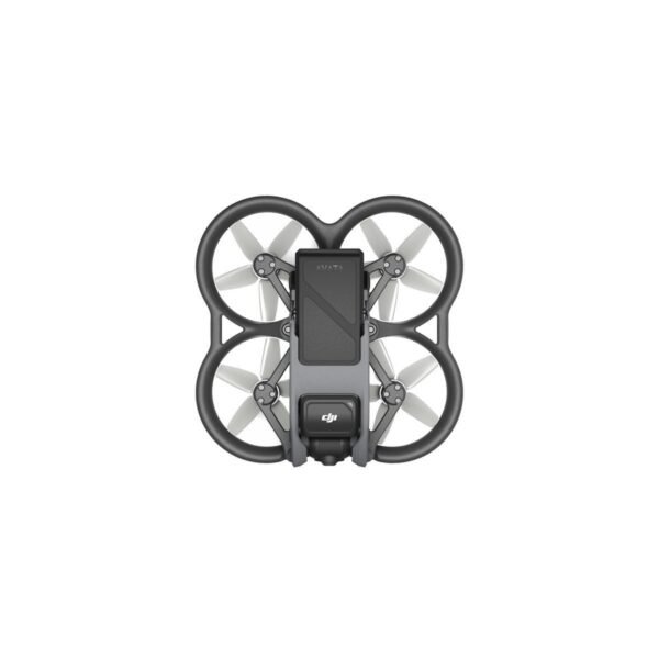 DJI 939739 AVATA PRO-VIEW COMBO Drohne, Schwarz/Grau